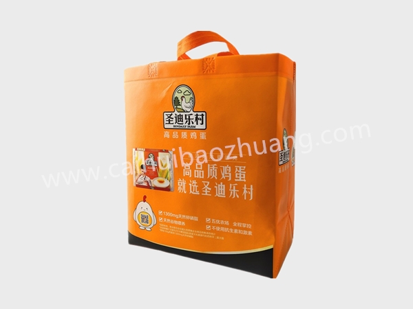 彩匯包裝 食品用無紡布袋 ，環保手提袋，定制手提袋