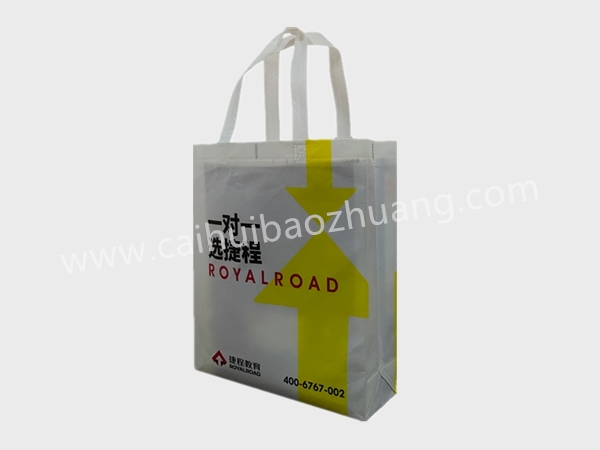 彩匯包裝 定制手提袋   手提袋廠家定制